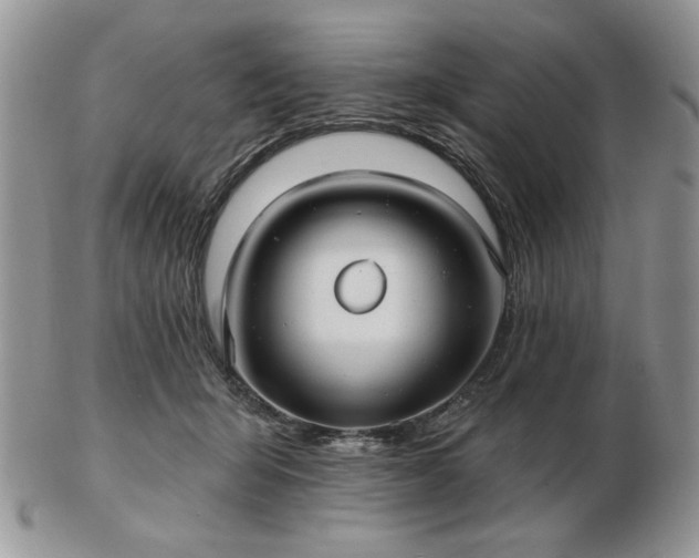 X0000102820415200808251115