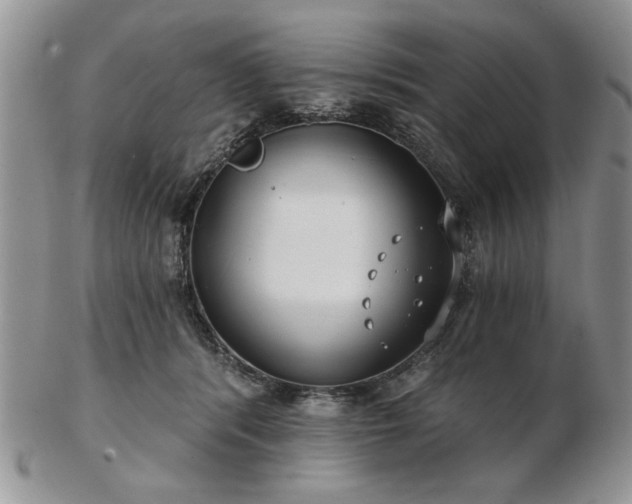 X0000102820416200808251115