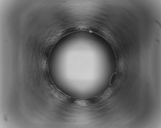 X0000102820417200808251115