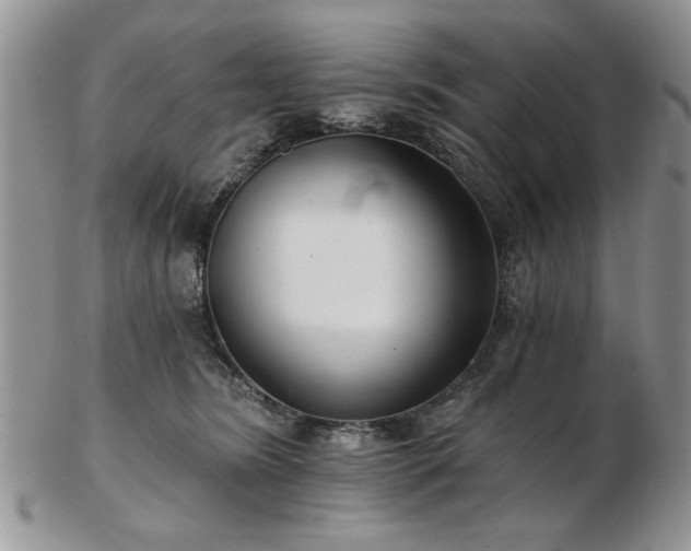 X0000102820420200808251115