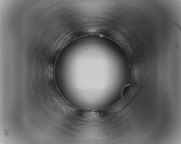 X0000102820421200808251115