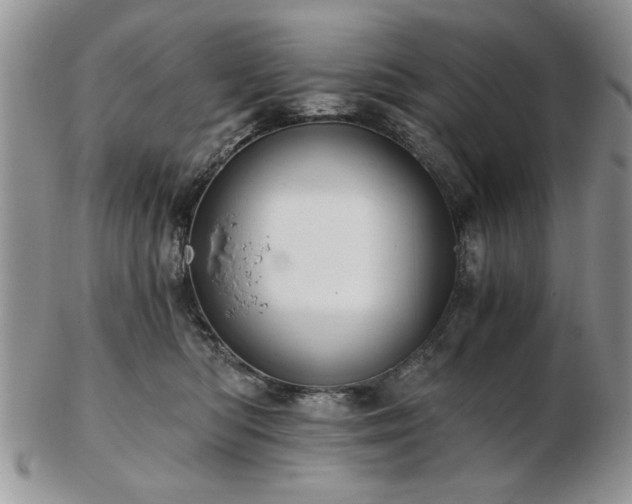 X0000102820422200808251115