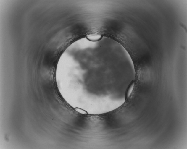 X0000102820423200808251115