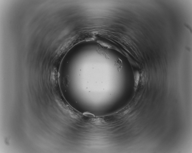 X0000102820424200808251115