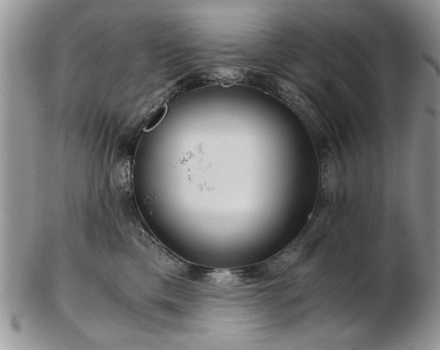 X0000102820425200808251115