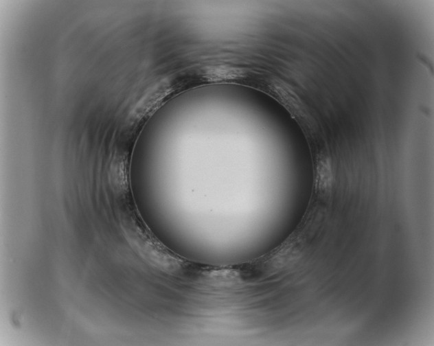 X0000102820426200808251115
