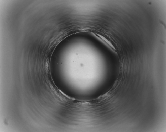 X0000102820427200808251115