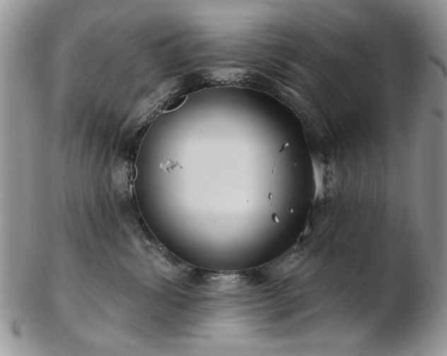 X0000102820428200808251115