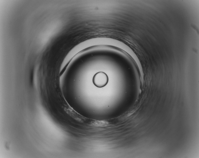 X0000102820429200808251115