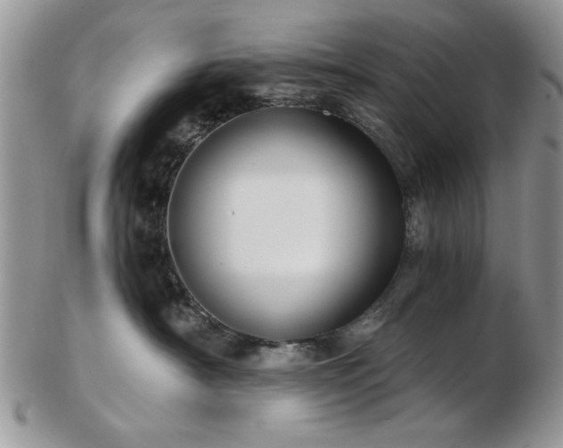 X0000102820430200808251115