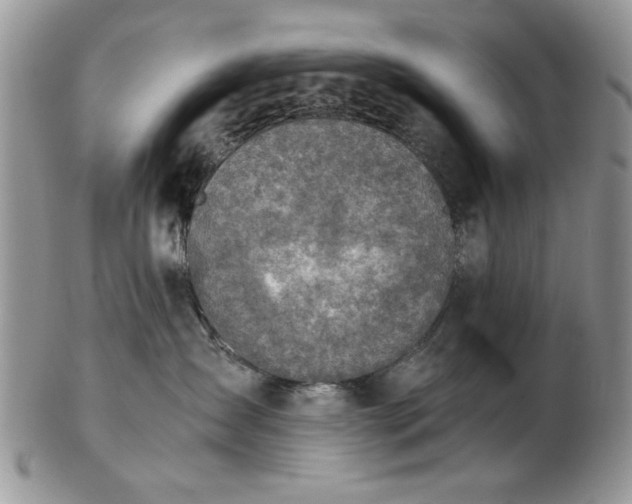X0000102820431200808251115