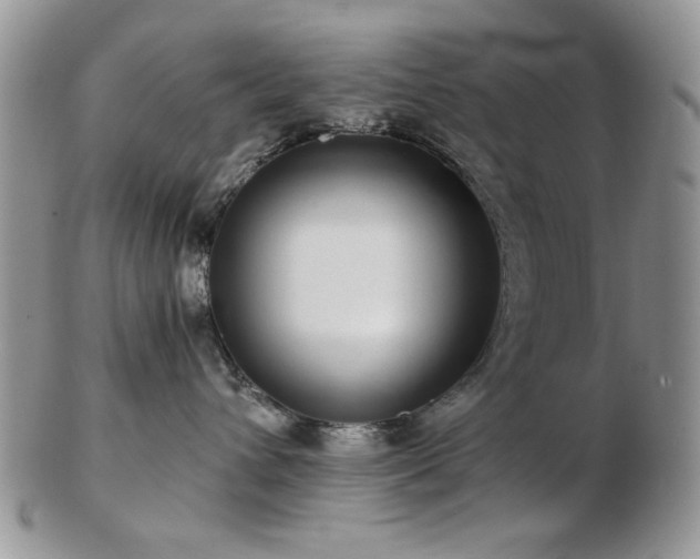 X0000102820432200808251115