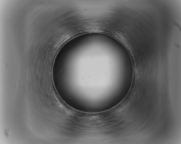 X0000102820433200808251114