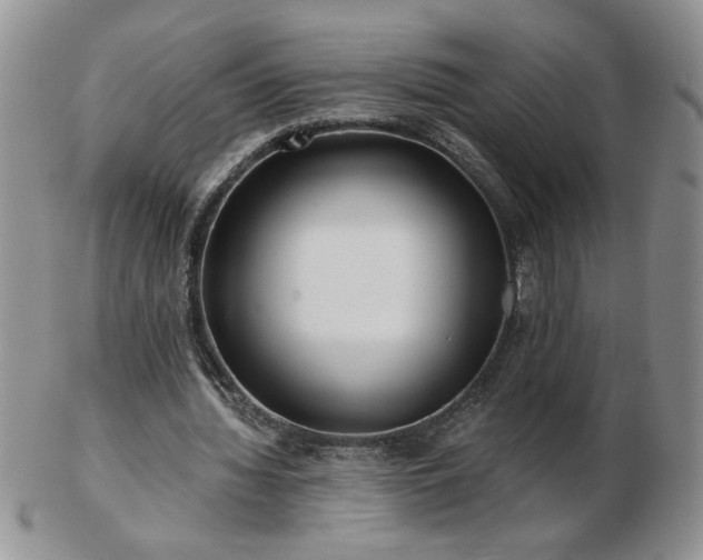 X0000102820436200808251114