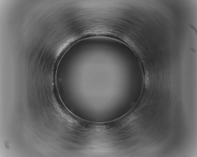 X0000102820438200808251114