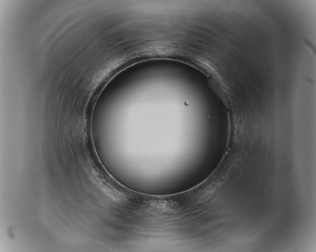 X0000102820439200808251114