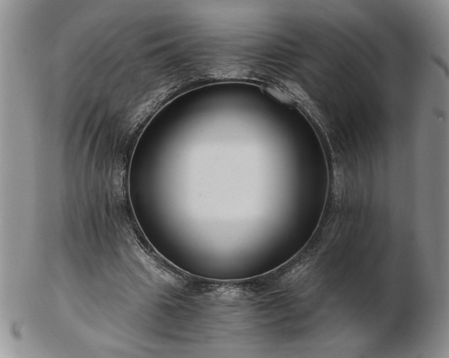 X0000102820441200808251114