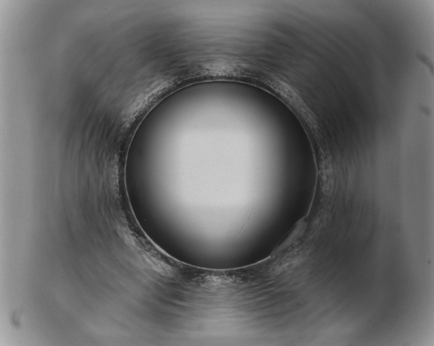 X0000102820442200808251114
