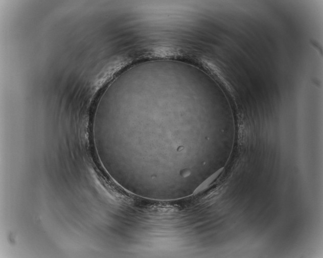 X0000102820443200808251114