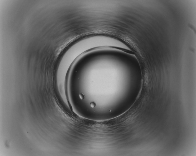 X0000102820444200808251114