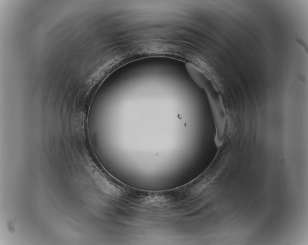 X0000102820445200808251115