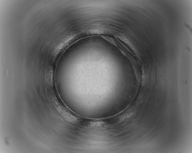X0000102820446200808251115