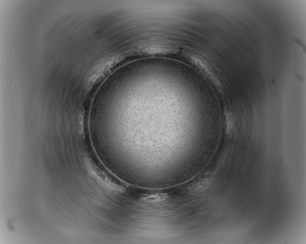 X0000102820447200808251115