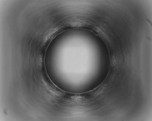X0000102820448200808251115