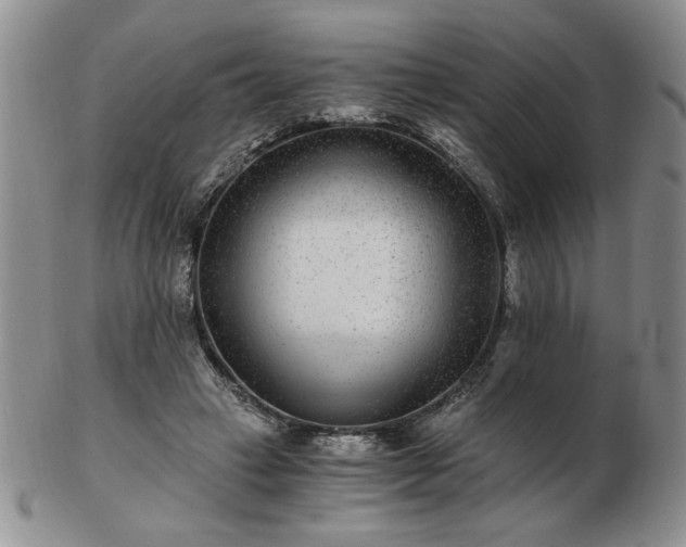 X0000102820449200808251115