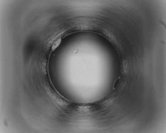 X0000102820450200808251115
