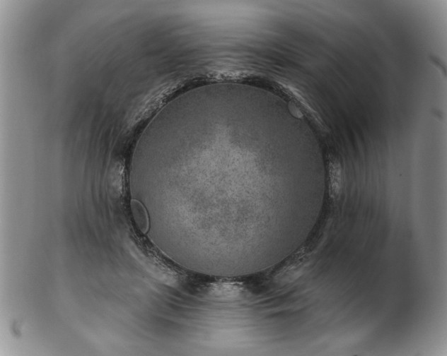 X0000102820451200808251115