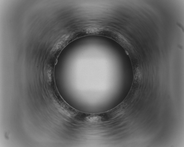 X0000102820452200808251115