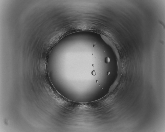 X0000102820453200808251115