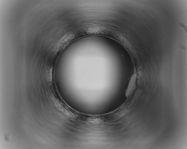 X0000102820454200808251115