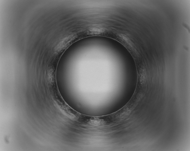 X0000102820455200808251115