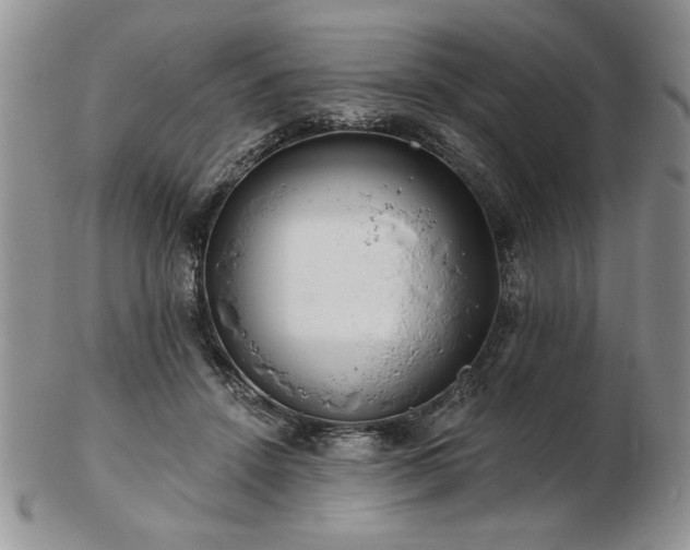 X0000102820456200808251115