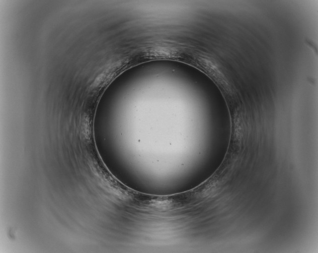 X0000102820457200808251115