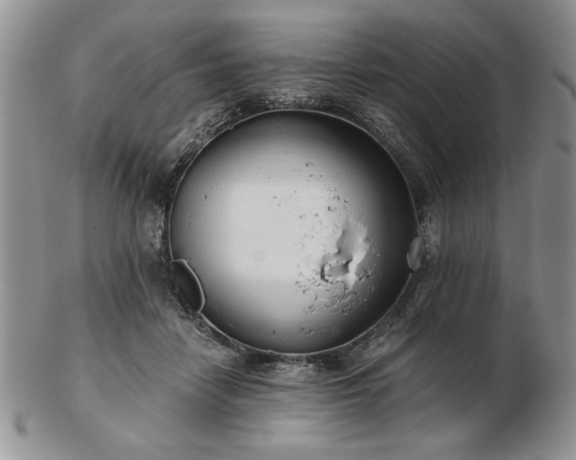 X0000102820458200808251115