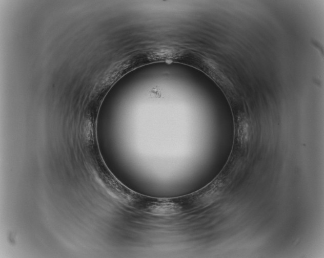 X0000102820459200808251115