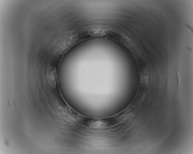 X0000102820460200808251115