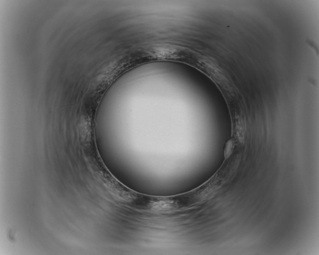 X0000102820461200808251115