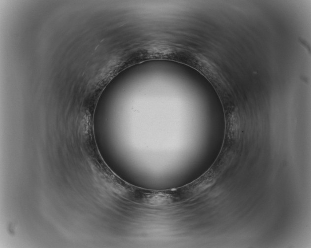 X0000102820463200808251115