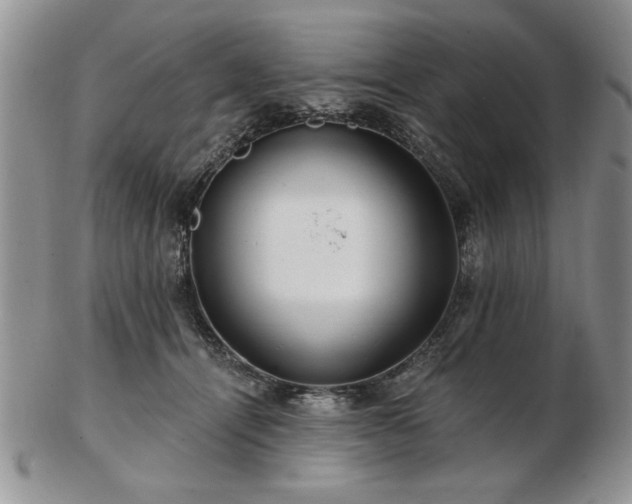 X0000102820464200808251115