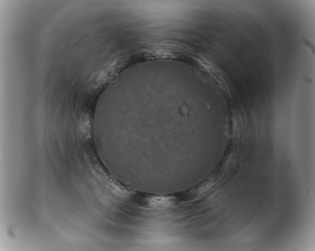 X0000102820465200808251115
