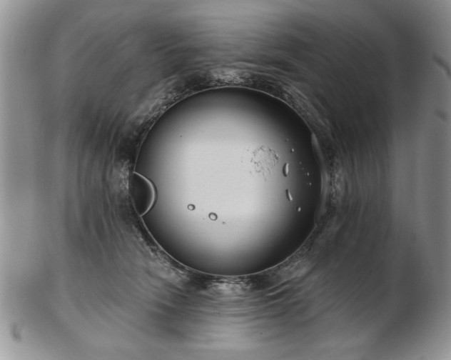 X0000102820466200808251115