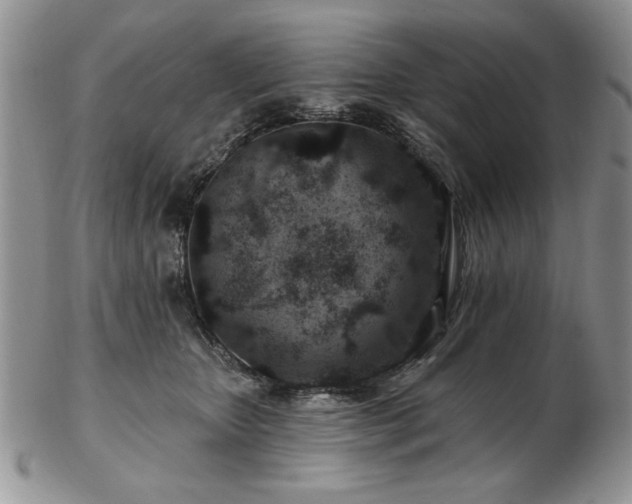 X0000102820467200808251115