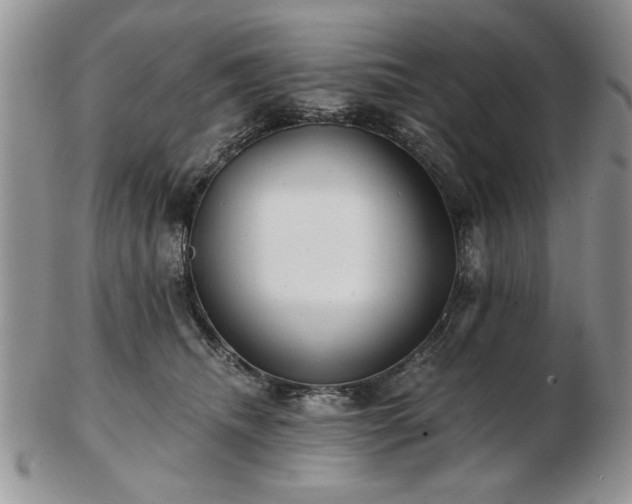 X0000102820468200808251115