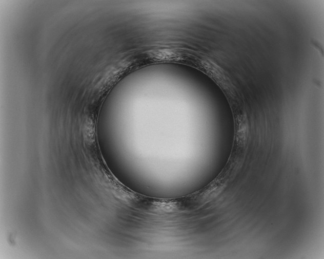 X0000102820469200808251115