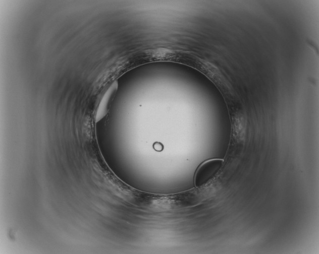 X0000102820470200808251115