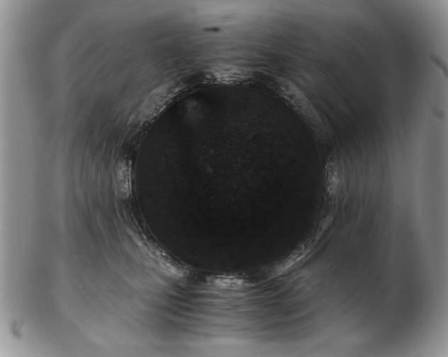 X0000102820471200808251115